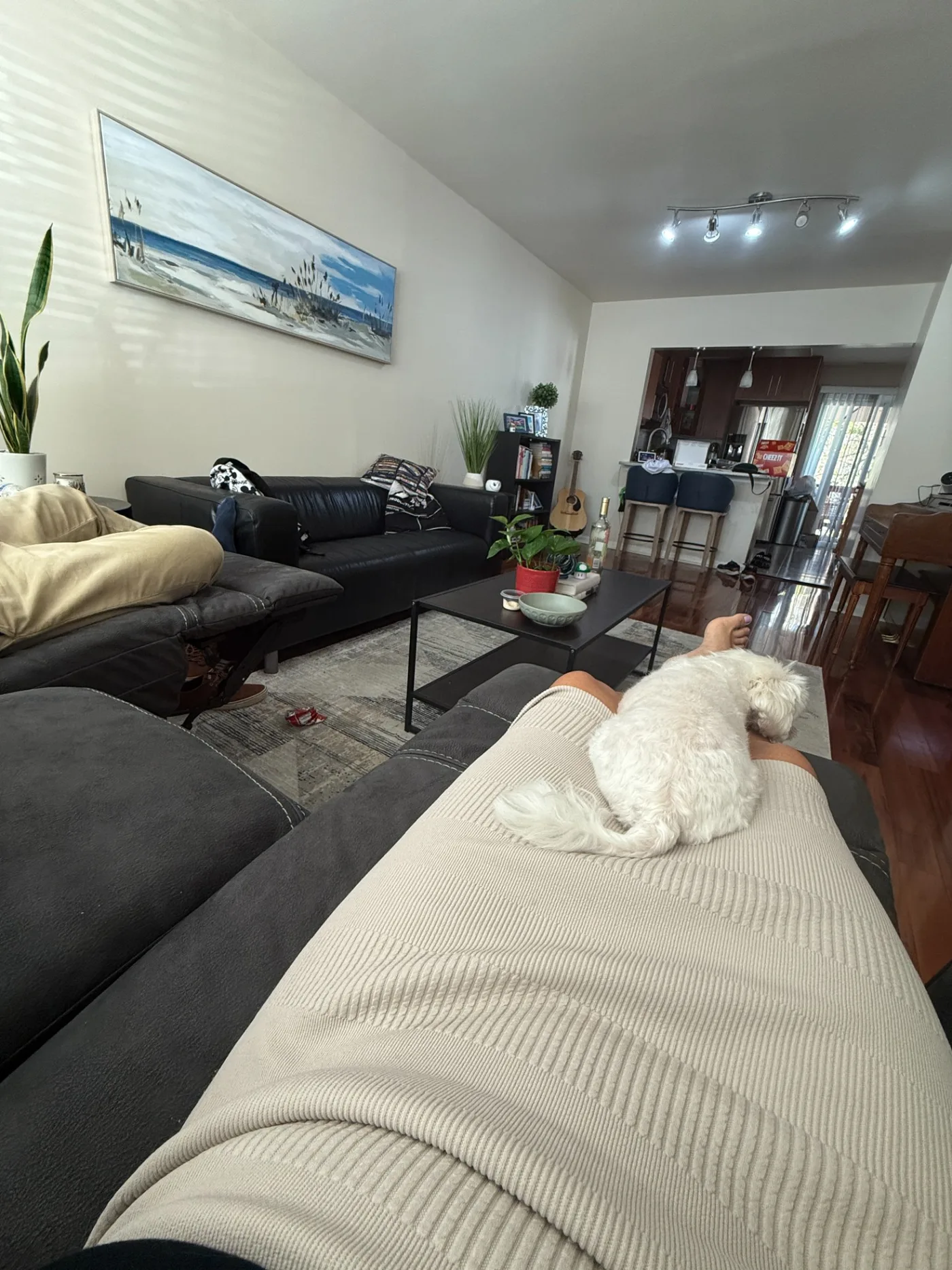 Relaxing with my dog on my lap after a long day.